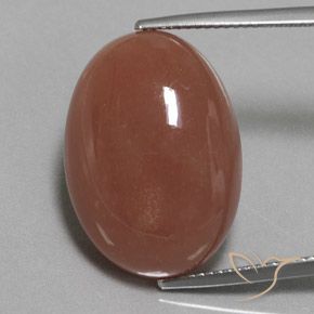 22.59ct Naturel Brun moyen Pierre de lune, ovale, Opaque