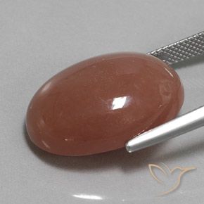 Pierre de lune Brun moyen naturelle ovale, 22.59 ct, Opaque