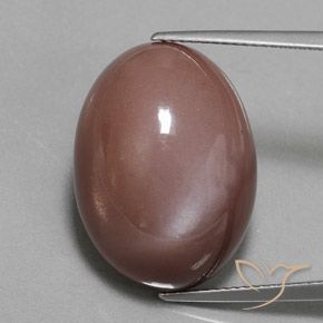 23.55ct Naturel Brun moyen Pierre de lune, ovale, Opaque
