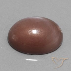 Pierre de lune Brun moyen naturelle ovale, 23.55 ct, Opaque