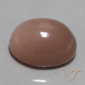 Pierre de lune Brun rougeâtre naturelle ovale, 32.50 ct, Opaque