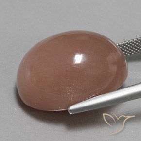 Pierre de lune Brun rougeâtre naturelle ovale, 32.50 ct, Opaque