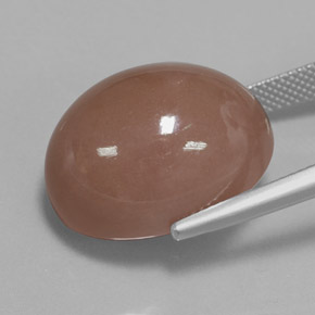 Pierre de Lune Marron chaud naturelle Coupe ovale, 27.02 ct, Opaque