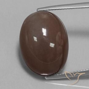 20.93ct Naturel Brun moyen Pierre de lune, ovale, Opaque