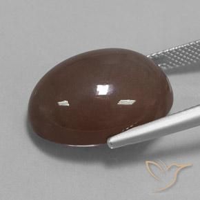 Pierre de lune Brun moyen naturelle ovale, 20.93 ct, Opaque
