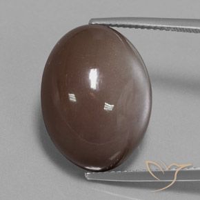 21.72ct Naturel Brun chocolat Pierre de lune, ovale, Opaque