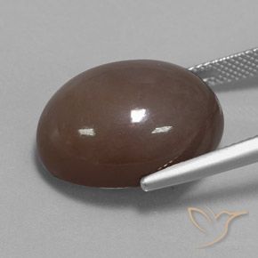 Pierre de lune Brun chocolat naturelle ovale, 21.72 ct, Opaque