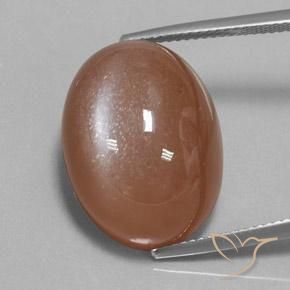 24.75ct Naturel Marron chaud Pierre de lune, ovale, Opaque