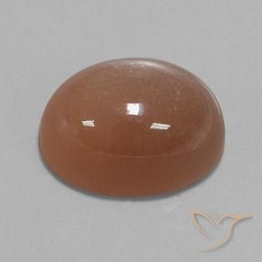 Pierre de lune Marron chaud naturelle ovale, 24.75 ct, Opaque