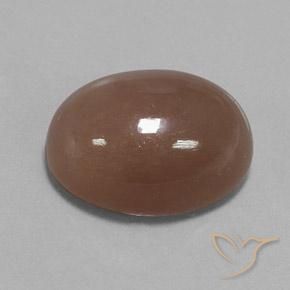 Pierre de lune Brun moyen naturelle ovale, 22.75 ct, Opaque