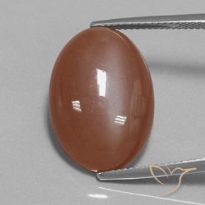 15.54ct Naturel Brun cannelle Pierre de lune, ovale, Opaque