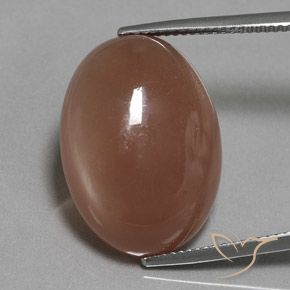 18.61ct Naturel Brun moyen Pierre de lune, ovale, Translucide