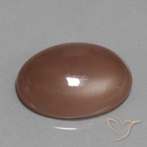 Pierre de lune Brun moyen naturelle ovale, 18.61 ct, Translucide