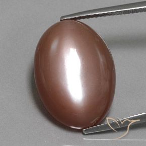 19.77ct Naturel Marron chaud Pierre de lune, ovale, Opaque