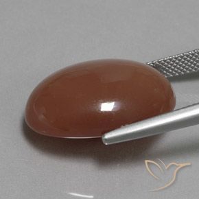 Pierre de lune Marron chaud naturelle ovale, 19.77 ct, Opaque