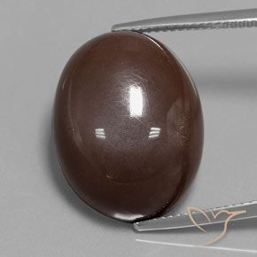 23.33ct Naturel Brun moyen Pierre de lune, ovale, Opaque