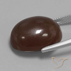 Pierre de lune Brun moyen naturelle ovale, 23.33 ct, Opaque