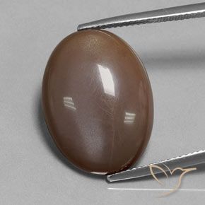 18.80ct Naturel Brun chocolat Pierre de lune, ovale, Translucide