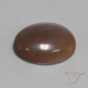 Pierre de lune Brun chocolat naturelle ovale, 18.80 ct, Translucide