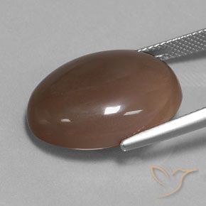 Pierre de lune Brun chocolat naturelle ovale, 18.80 ct, Translucide