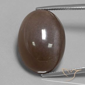 30.12ct Naturel Brun chocolat Pierre de lune, ovale, Opaque