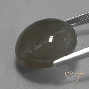 Pierre de lune Brun gris naturelle Tour, 18.40 ct, Translucide
