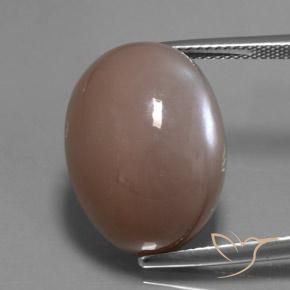 24.60ct Naturel Brun moyen-léger Pierre de lune, ovale, Translucide