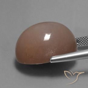 Pierre de lune Brun moyen-léger naturelle ovale, 24.60 ct, Translucide