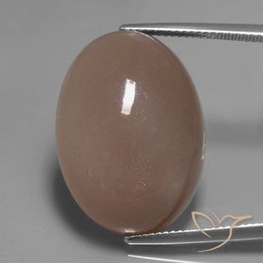 Pierre de lune Marron clair naturelle ovale, 27.83 ct, Translucide