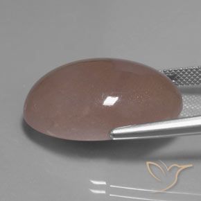 Pierre de lune Marron clair naturelle ovale, 27.83 ct, Translucide