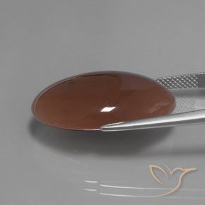 Pierre de lune Brun moyen naturelle ovale, 22.04 ct, Translucide