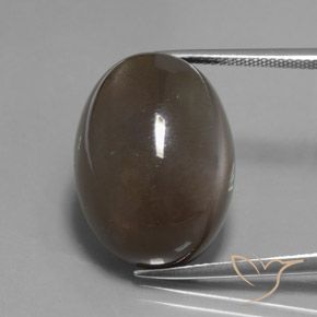 27.12ct Naturel Marron ambré Pierre de lune, ovale, Translucide