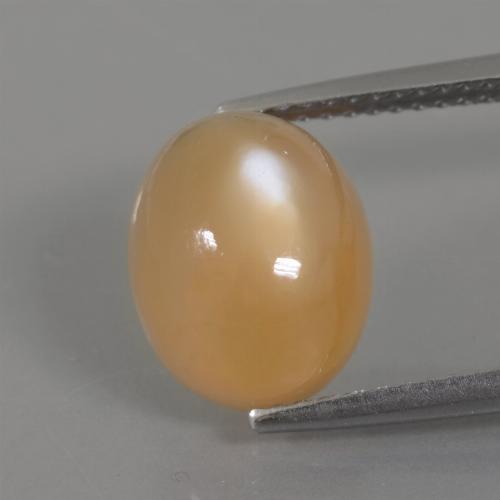 Pierre de Lune Crème orange doré naturelle Coupe ovale, 4.49 ct, Transparent