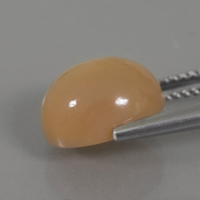 Pierre de Lune Crème orange doré naturelle Coupe ovale, 4.49 ct, Transparent