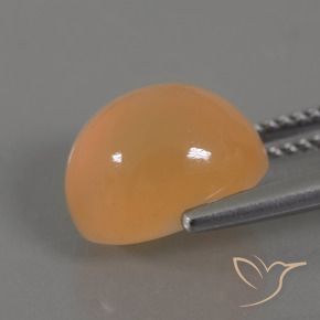 Pierre de lune Crème orange doré naturelle ovale, 5.07 ct, Transparent