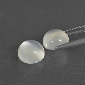Achetez naturel 4,56ct blanc pierre de lune gems, coupe roude, en provenance inde chez gemselect. en stock, livraison internationale!