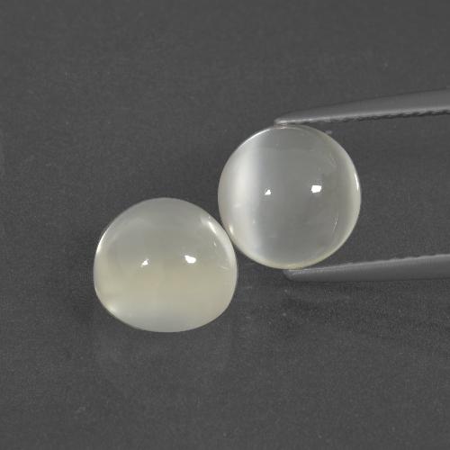 Achetez naturel 5,17ct blanc pierre de lune gems, coupe roude, en provenance inde chez gemselect. en stock, livraison internationale!