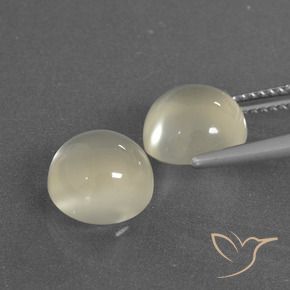 Shop natural 6.30ct Blanc chaud Pierre de lune gems, Tour, from Inde at GemSelect. In stock, global shipping!