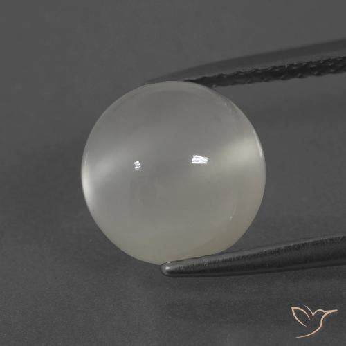 3.52ct Naturel Blanc chaud Pierre de lune, Tour, Translucide
