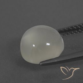 Pierre de lune Blanc chaud naturelle Tour, 3.52 ct, Translucide