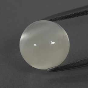 Pierre de lune blanc naturelle coupe roude, 3,46 ct, translucide