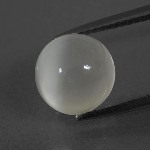 Pierre de lune blanc naturelle coupe roude, 3,51 ct, translucide