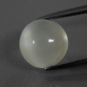 Pierre de Lune Blanc chaud naturelle Coupe roude, 3.73 ct, Translucide