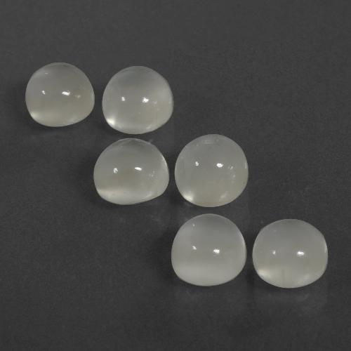 Achetez naturel 7,26ct blanc pierre de lune gems, coupe roude, en provenance inde chez gemselect. en stock, livraison internationale!