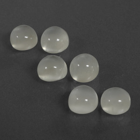 Achetez naturel 7,26ct blanc pierre de lune gems, coupe roude, en provenance inde chez gemselect. en stock, livraison internationale!