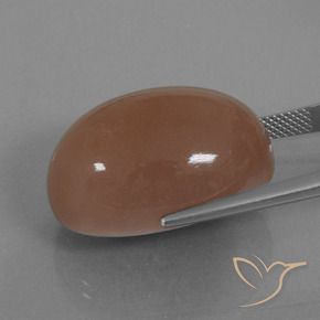 Pierre de lune Brun naturelle ovale, 42.17 ct, Opaque