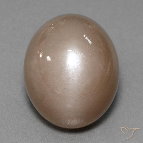 41.53ct Naturel Brun neutre Pierre de lune, ovale, Opaque