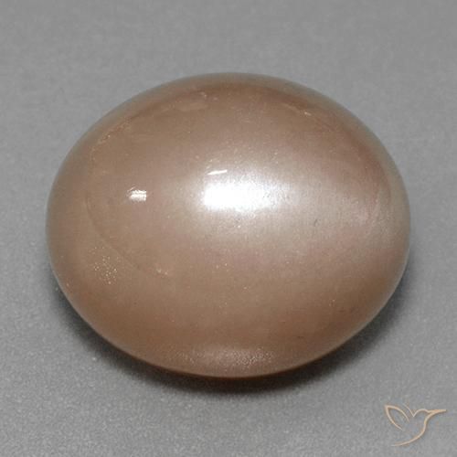Pierre de lune Brun neutre naturelle ovale, 41.53 ct, Opaque
