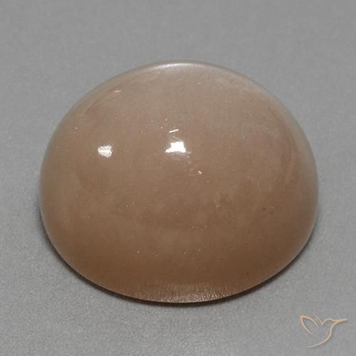 Pierre de lune Brun neutre naturelle ovale, 41.53 ct, Opaque