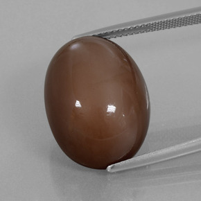 Pierre de lune marron naturelle coupe ovale, 22,96 ct, opaque